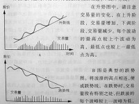 掌握股票分析的艺术，从小白到专家的理财指南