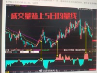 深入解析，掌握股票分析的五大核心手段