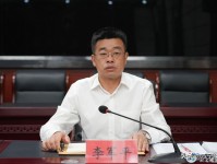 揭秘股市中的决策线与生命线，如何利用它们做出明智的投资选择