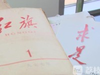 掌握经济脉搏，如何高效获取经济新闻视频资源