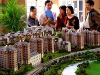 全面解析，投资顾问资格证考试科目及备考策略