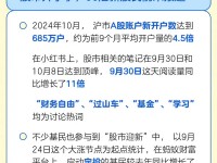 央视新闻经济频道深度解析，2024年理财新趋势与投资策略