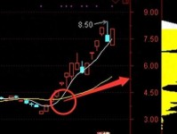 掌握投资策略的精髓，构建稳健的财富增长路径