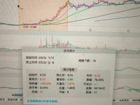 中石油股票走势深度解析，市场动态与投资策略