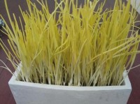 经济新闻导语的艺术，揭秘常见的几种写作技巧