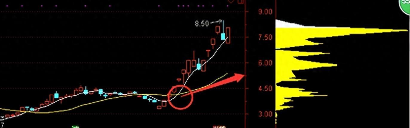 掌握投资策略的精髓，构建稳健的财富增长路径