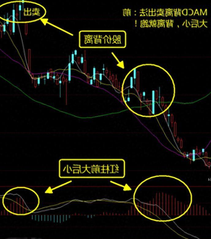 掌握投资利器，决策家炒股软件使用教程视频深度解析
