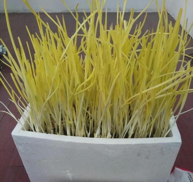 经济新闻导语的艺术,揭秘常见的几种写作技巧 经济新闻导语的艺术,揭秘常见的几种写作技巧